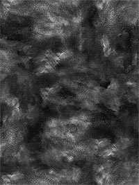 컬러 스토리 by 스테파니 라이언 CSTO-5226-K