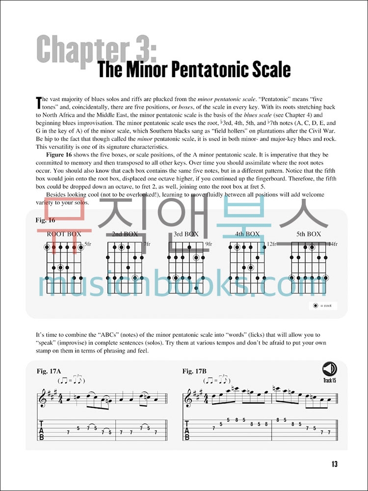 Beginning Blues Guitar비기닝 블루스 기타 (온라인 음원 포함)[00695916]*