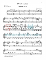 헨레 하이든 피아노 소나타집 3권 Henle Haydn 정식수입 원전 악보 [HN1340]