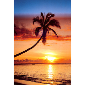 (할인) Sunset & Palm Tree석양과 야자수 포스터[PH0119]