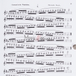 세프치크 바이올린 테크닉 Op 1, 3권 Sevcik The School of Violin Technics Op 1 Book 3 [50256640]