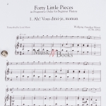 40개의 플루트 클래식 소품 악보 (온라인 음원 포함) Forty Little Pieces [50490444]