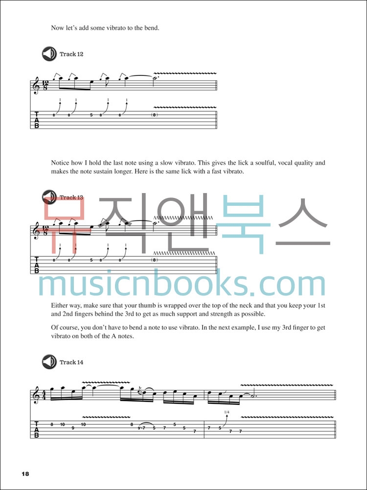 How to Play Blues/Rock Guitar Solos블루스/록 기타 솔로 교재 (온라인 음원 포함)[00249561]