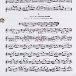 세프치크 바이올린 테크닉 Op 1, 2권 교재 악보 Sevcik The School of Violin Technics Op 1 Book 2 [50256630]