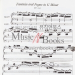 바흐 오르간 작품집 Bach Toccatas Fantasias Passacaglia and Other Works for Organ [06-254038]