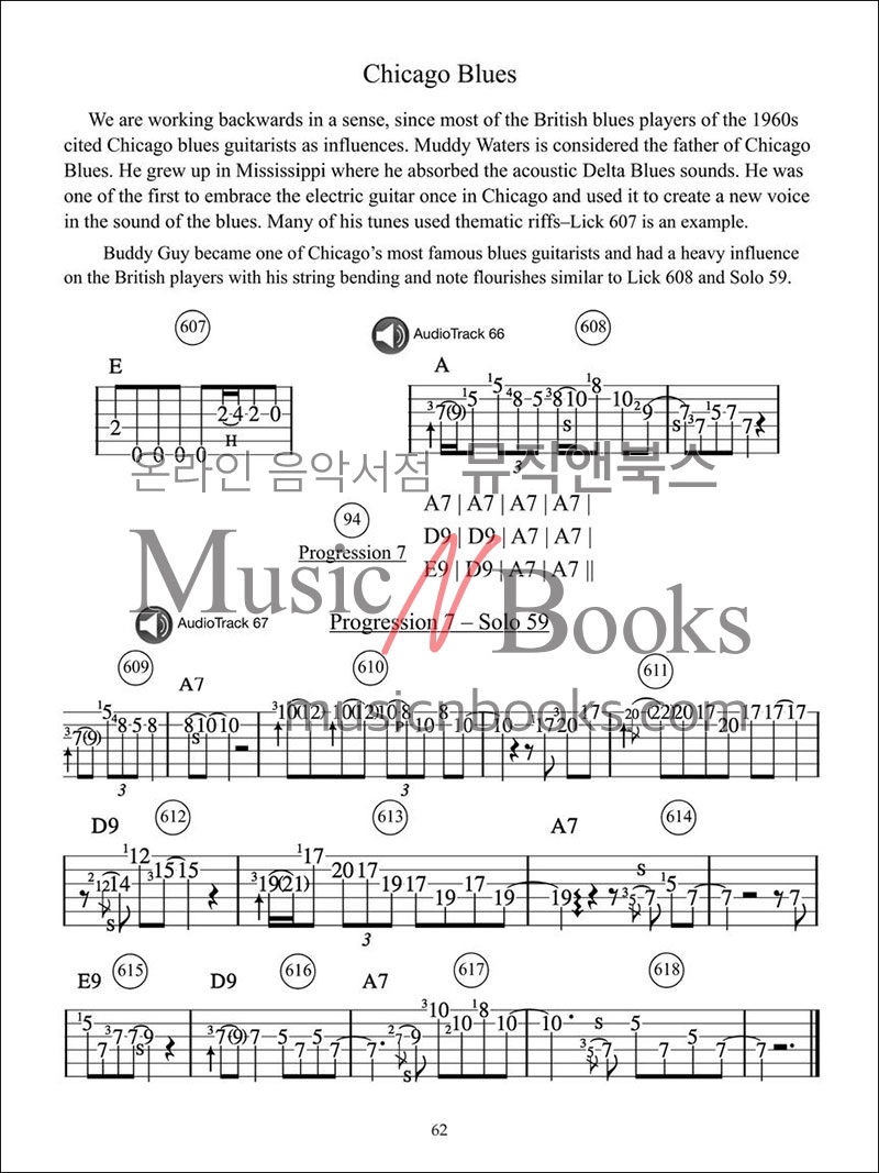 600 Smokin' Blues Guitar Licks600개의 블루스 기타 릭 (온라인 음원 포함)[00361243]*