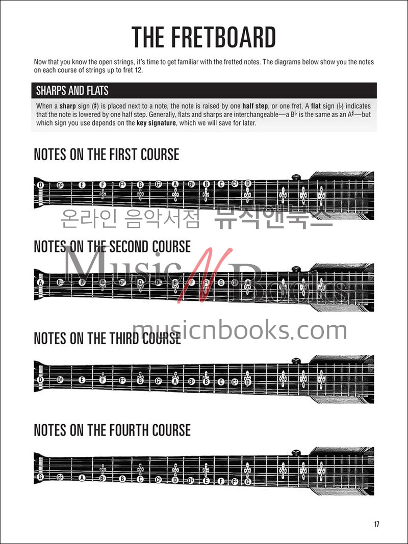 Hal Leonard Irish Bouzouki Method할 레오나드 아이리시 부주키 메쏘드[00696348]