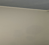 23232323.png