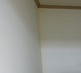 5554545454.png