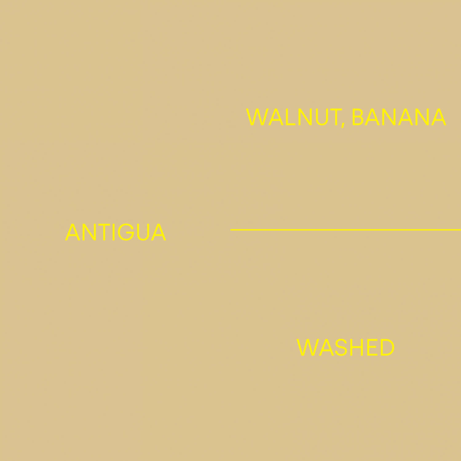 과테말라 안티구아GUATEMALA ANTIGUA