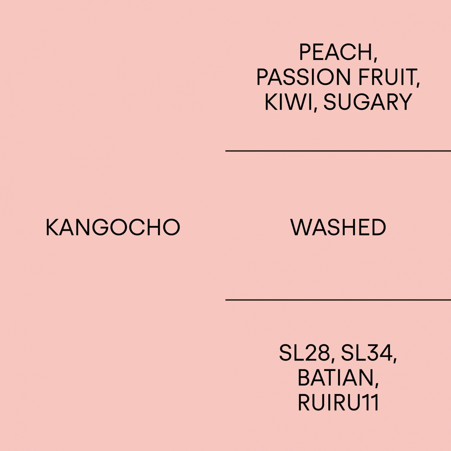 케냐 칸고초KENYA KANGOCHO