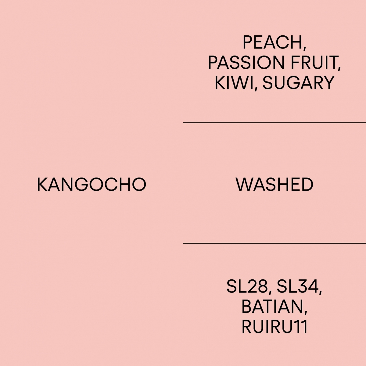 케냐 칸고초KENYA KANGOCHO