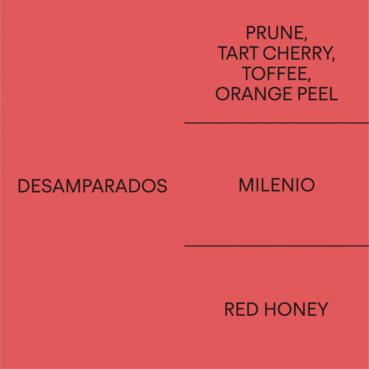 코스타리카 데삼파라도스COSTA RICA DESAMPARADOS