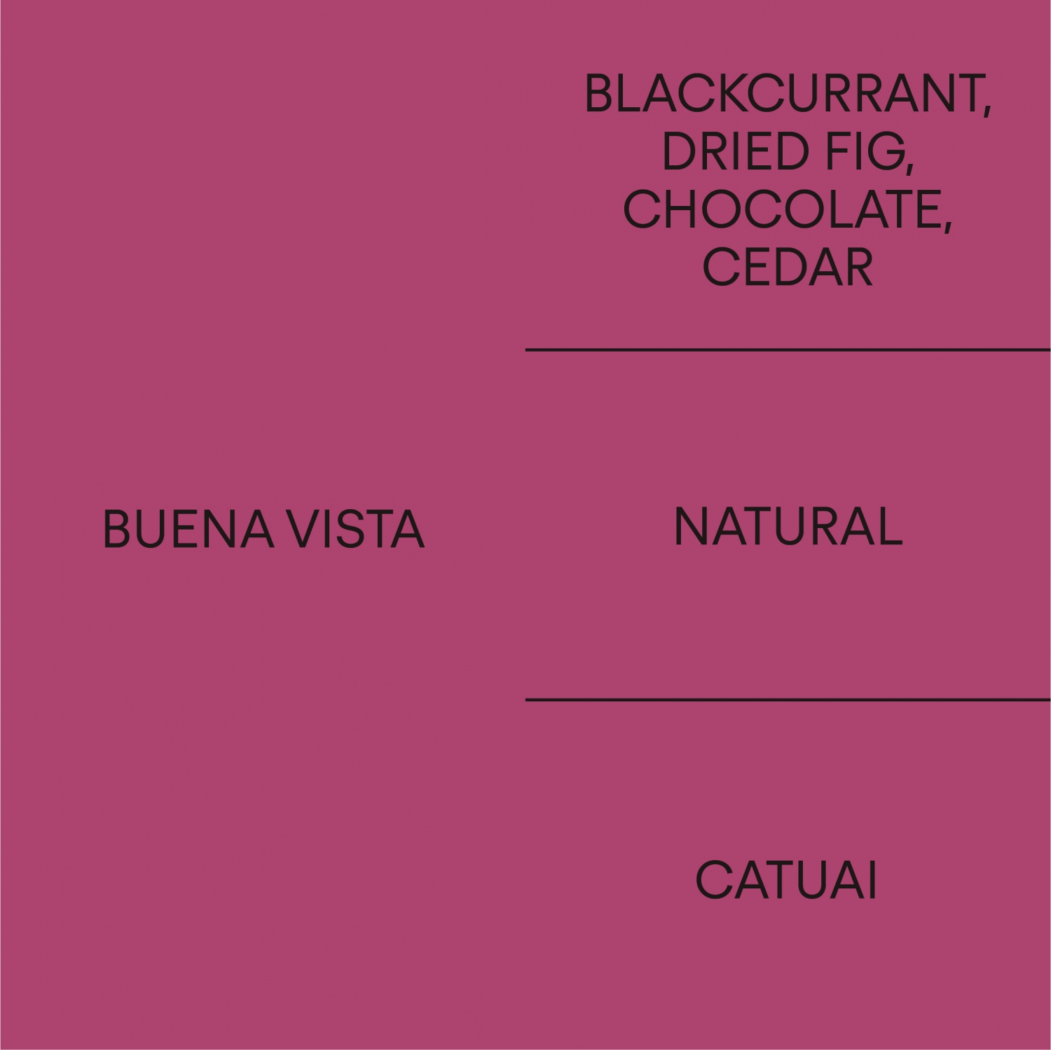 과테말라 부에나 비스타GUATEMALA BUENA VISTA