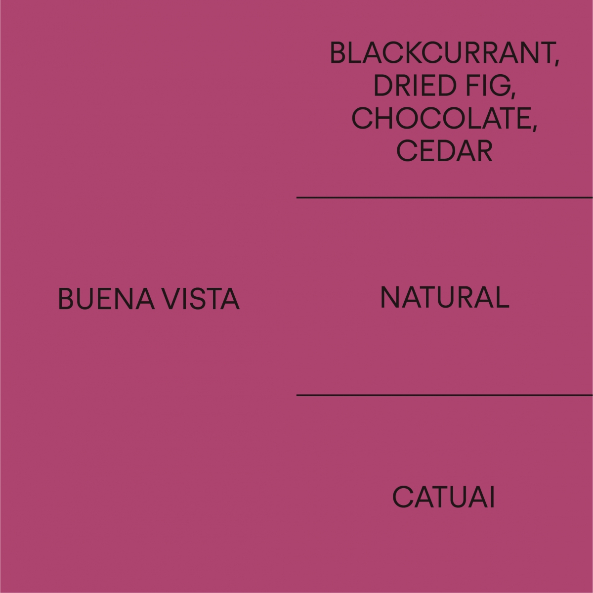 과테말라 부에나 비스타GUATEMALA BUENA VISTA