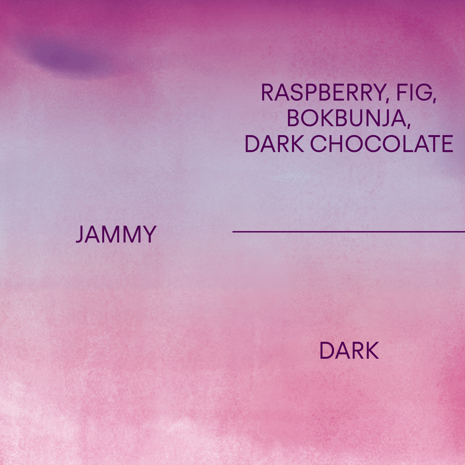 재미JAMMY