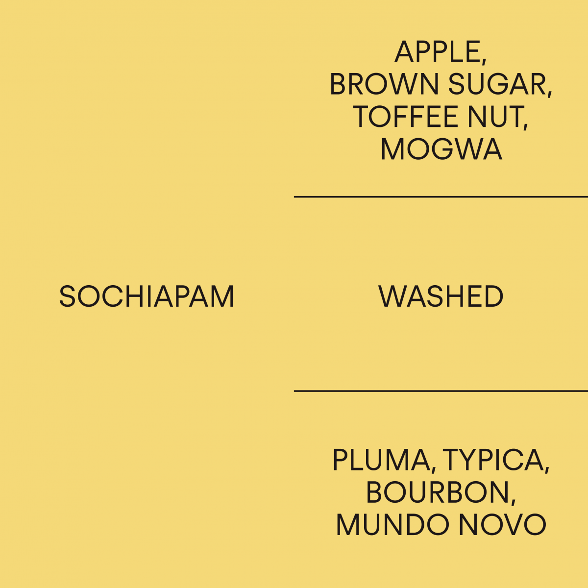 멕시코 소치아팜MEXICO SOCHIAPAM