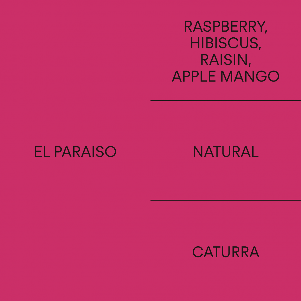 콜롬비아 엘 파라이소COLOMBIA EL PARAISO