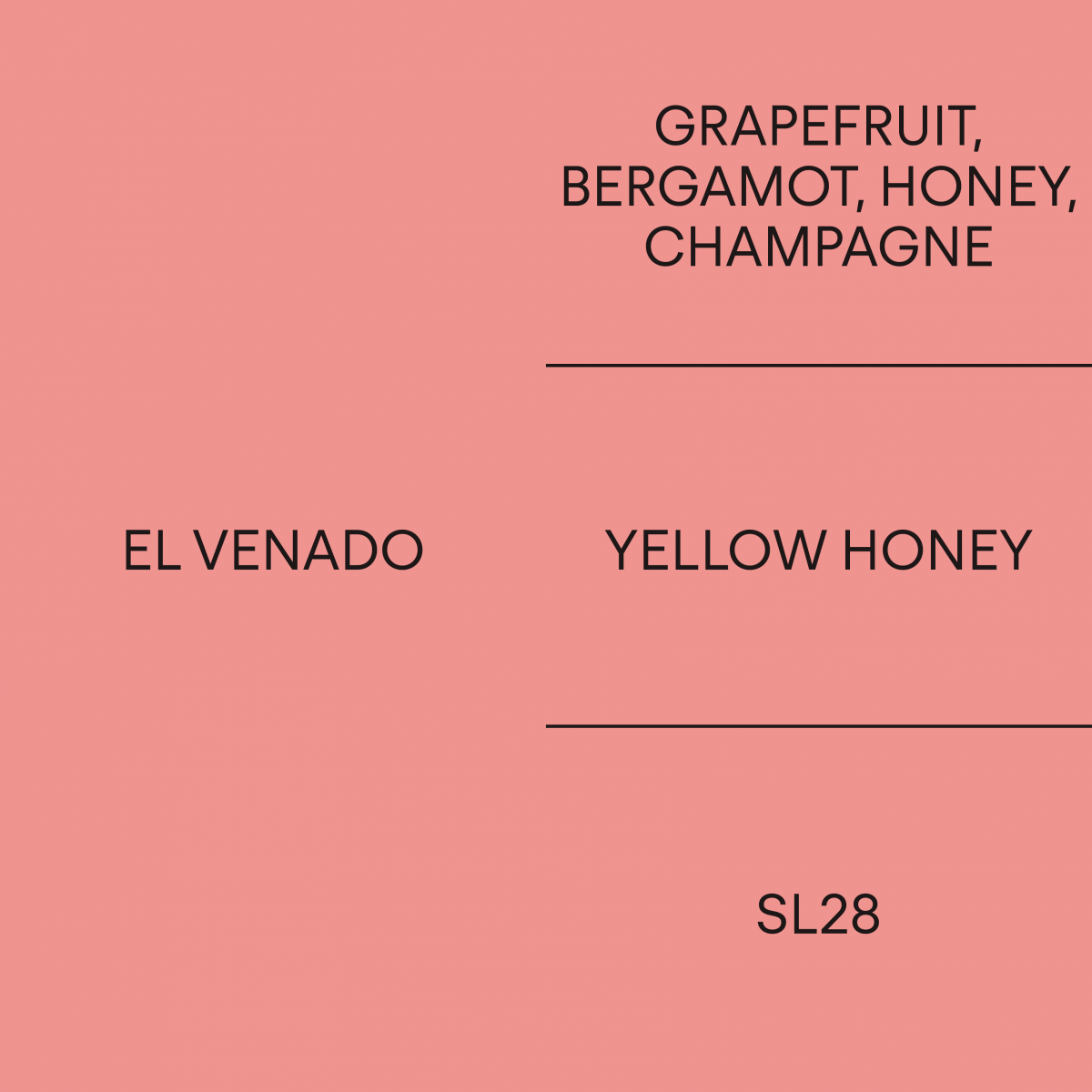 코스타리카 엘 베나도COSTA RICA EL VENADO