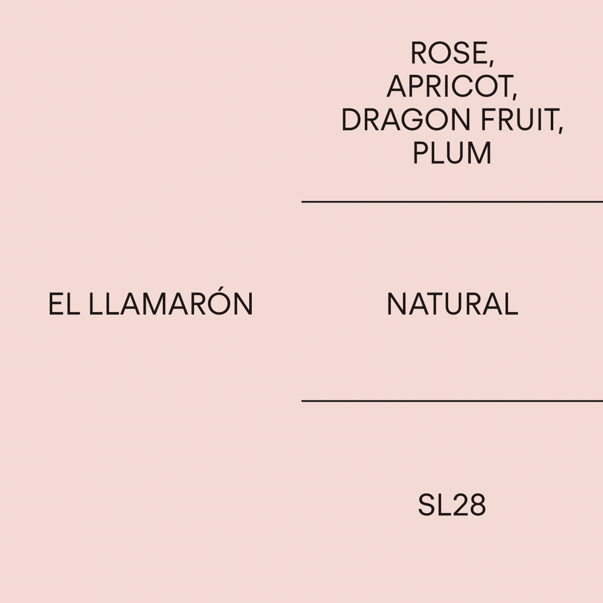 코스타리카 엘 야마론COSTA RICA EL LLAMAR&Oacute;N