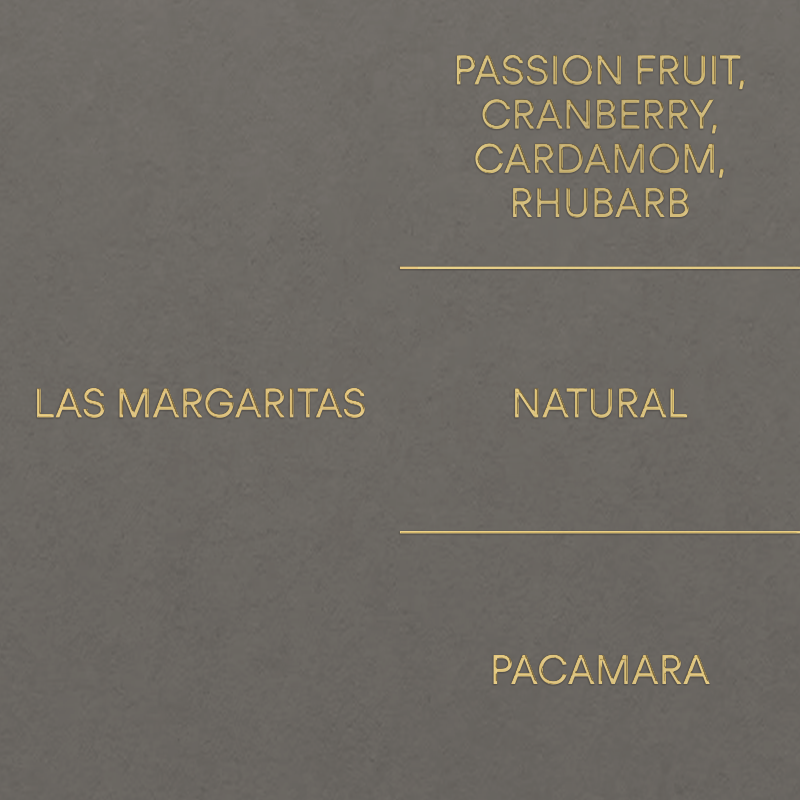 라스 마가리타스: 파카마라LAS MARGARITAS: PACAMARA