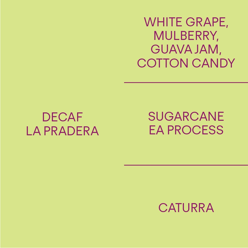 콜롬비아 라 프라데라 디카페인 COLOMBIA LA PRADERA DECAF