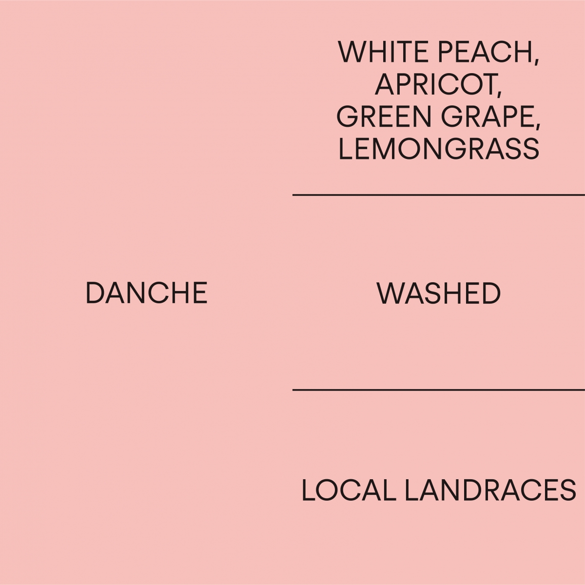 에티오피아 단체ETHIOPIA DANCHE