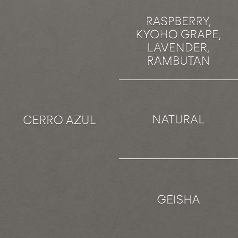 세로 아줄: 게이샤CERRO AZUL: GEISHA