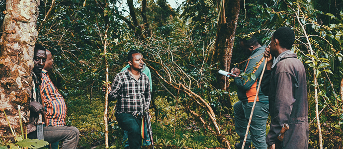 콜롬비아 파티오 보니토