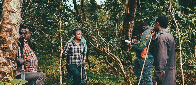 콜롬비아 파티오 보니토