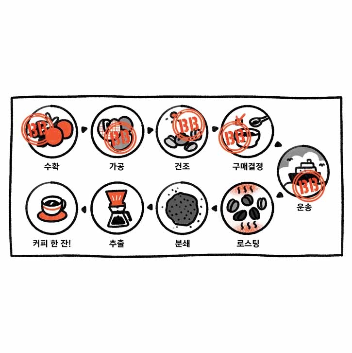 모모의 온보딩 노트 2#041. Seed to Cup-로스터리 투어