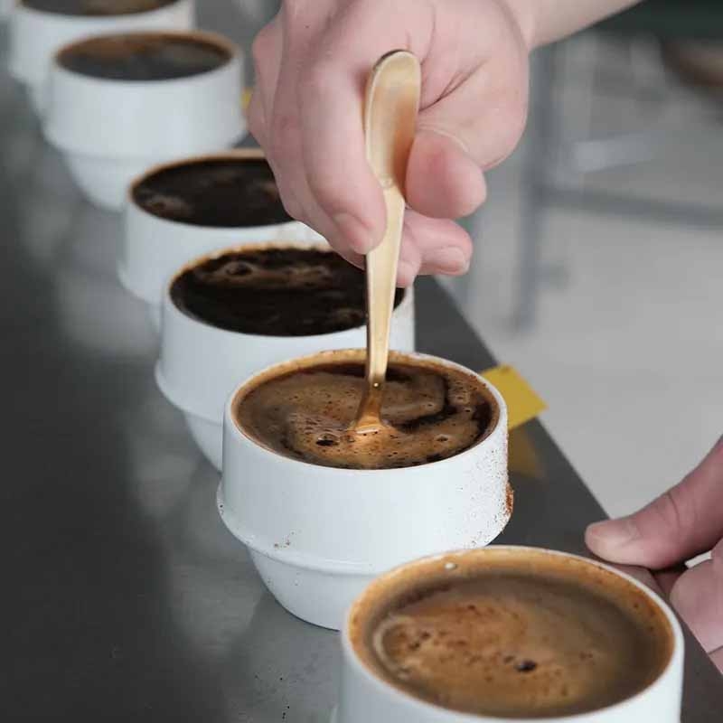 에티오피아 커피 수다#122. 에티오피아 뉴크롭 커핑을 마무리하며