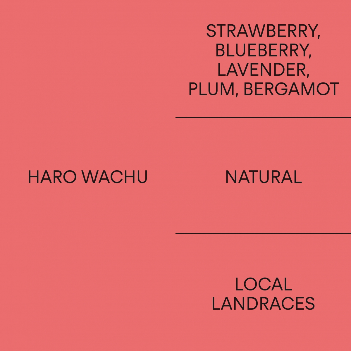 에티오피아 하로 와추ETHIOPIA HARO WACHU