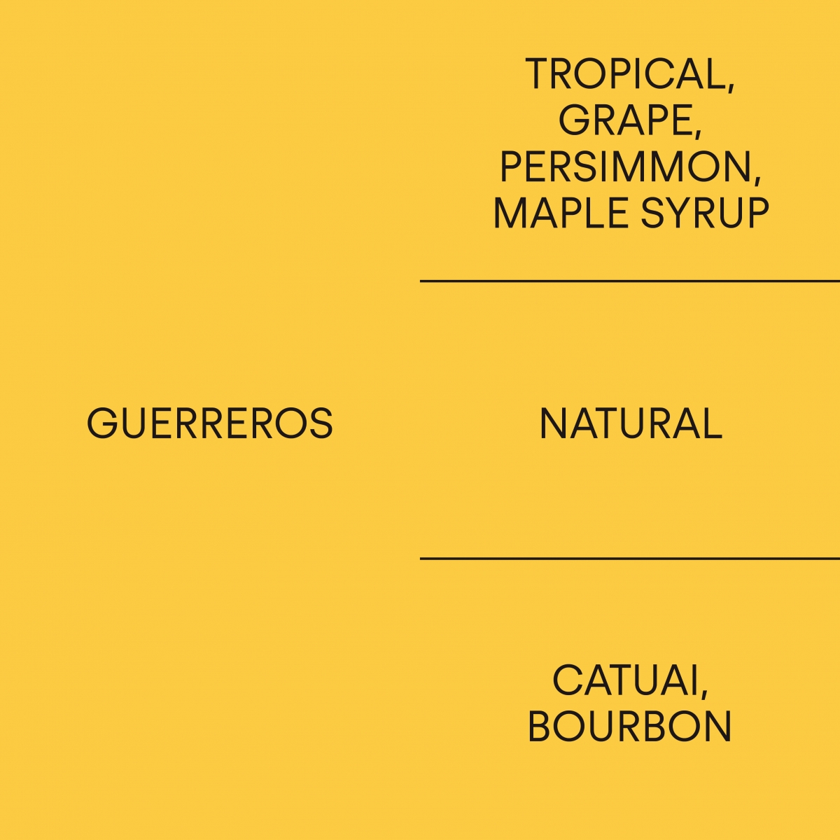 페루 게레로스PERU GUERREROS