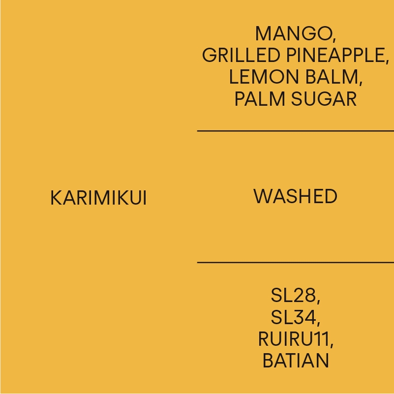 케냐 카리미쿠이KENYA KARIMIKUI