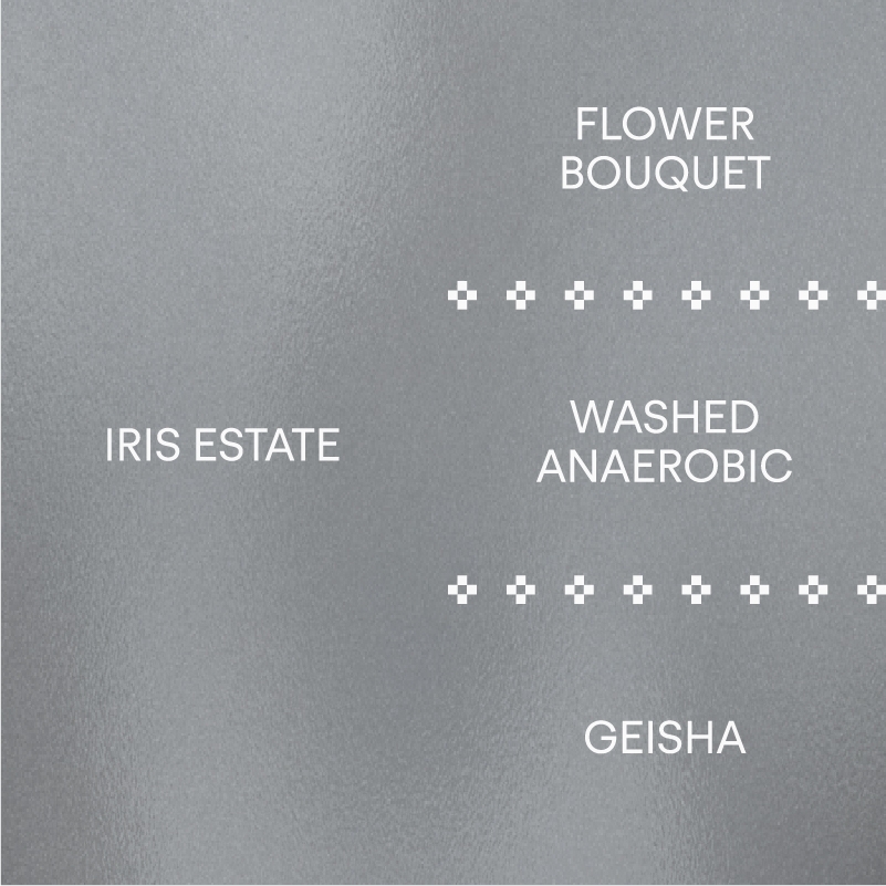 아이리스 에스테이트: 게이샤 아릴IRIS ESTATE: GEISHA ARIL