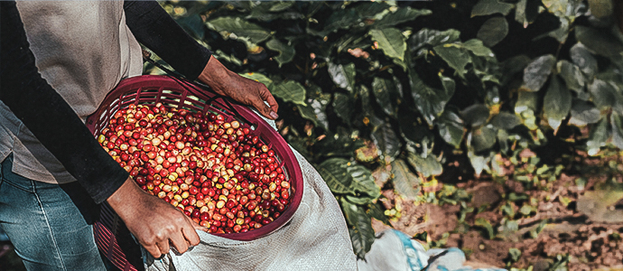 크리스마스 x 벨벳화이트 블렌드 원두 세트