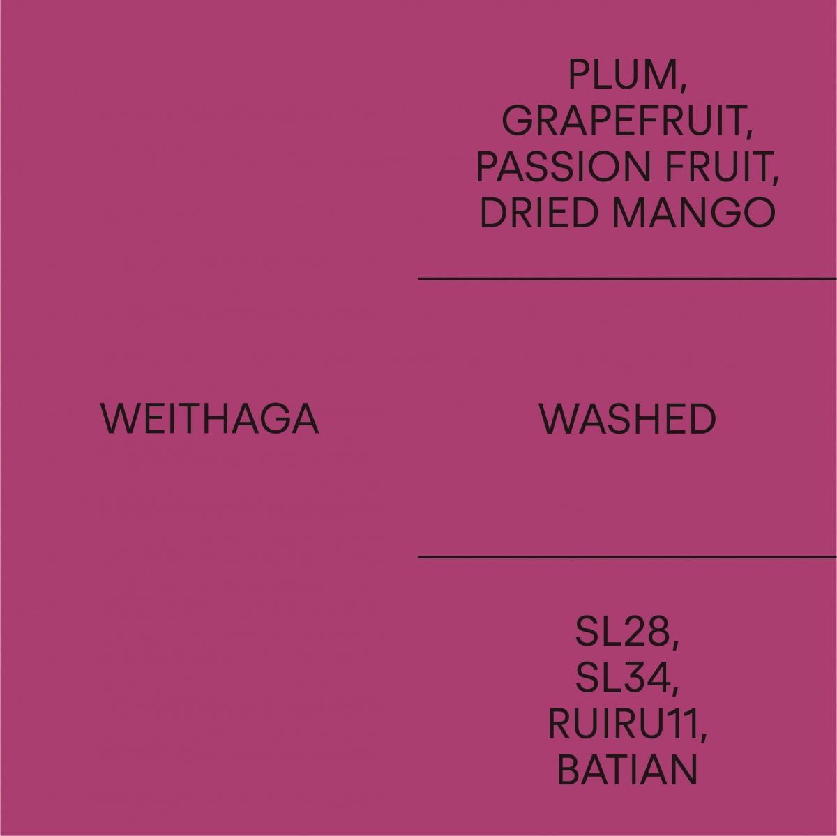 케냐 웨이타가KENYA WEITHAGA