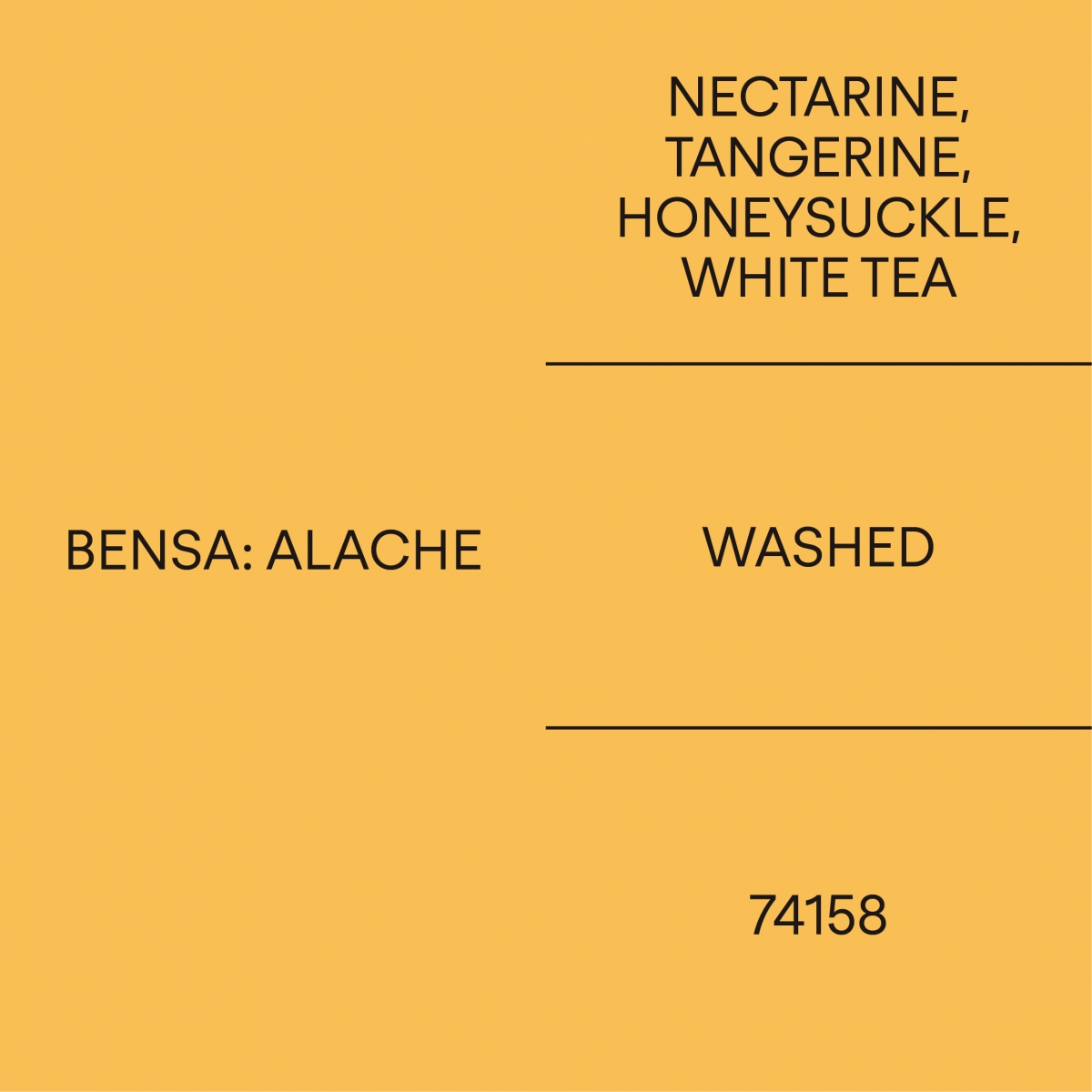 벤사: 알라체 워시드BENSA: ALACHE WASHED