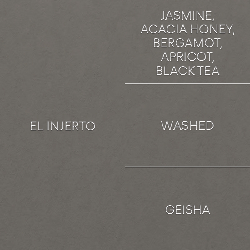 엘 인헤르토: 게이샤EL INJERTO: GEISHA