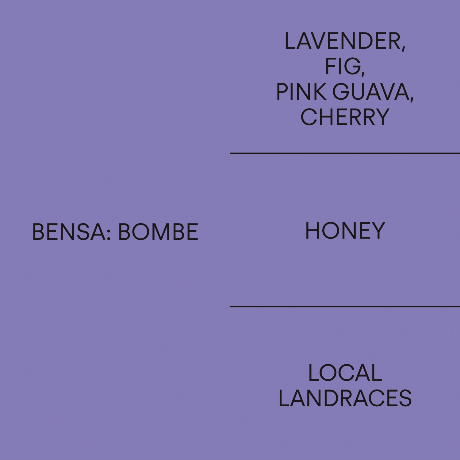 벤사: 봄베 허니BENSA: BOMBE HONEY