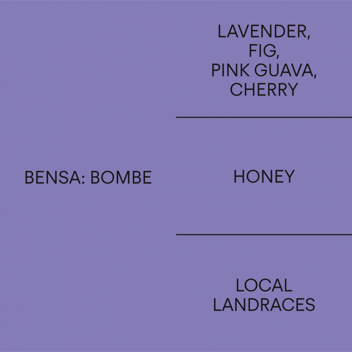 벤사: 봄베 허니BENSA: BOMBE HONEY