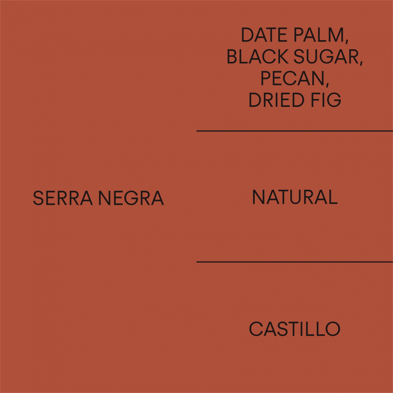 브라질 세하 네그라BRAZIL SERRA NEGRA
