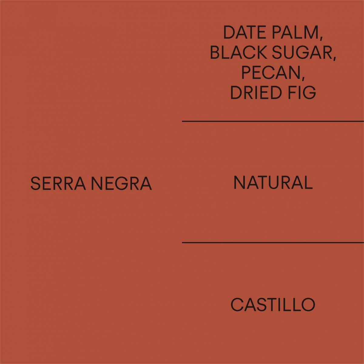 브라질 세하 네그라BRAZIL SERRA NEGRA