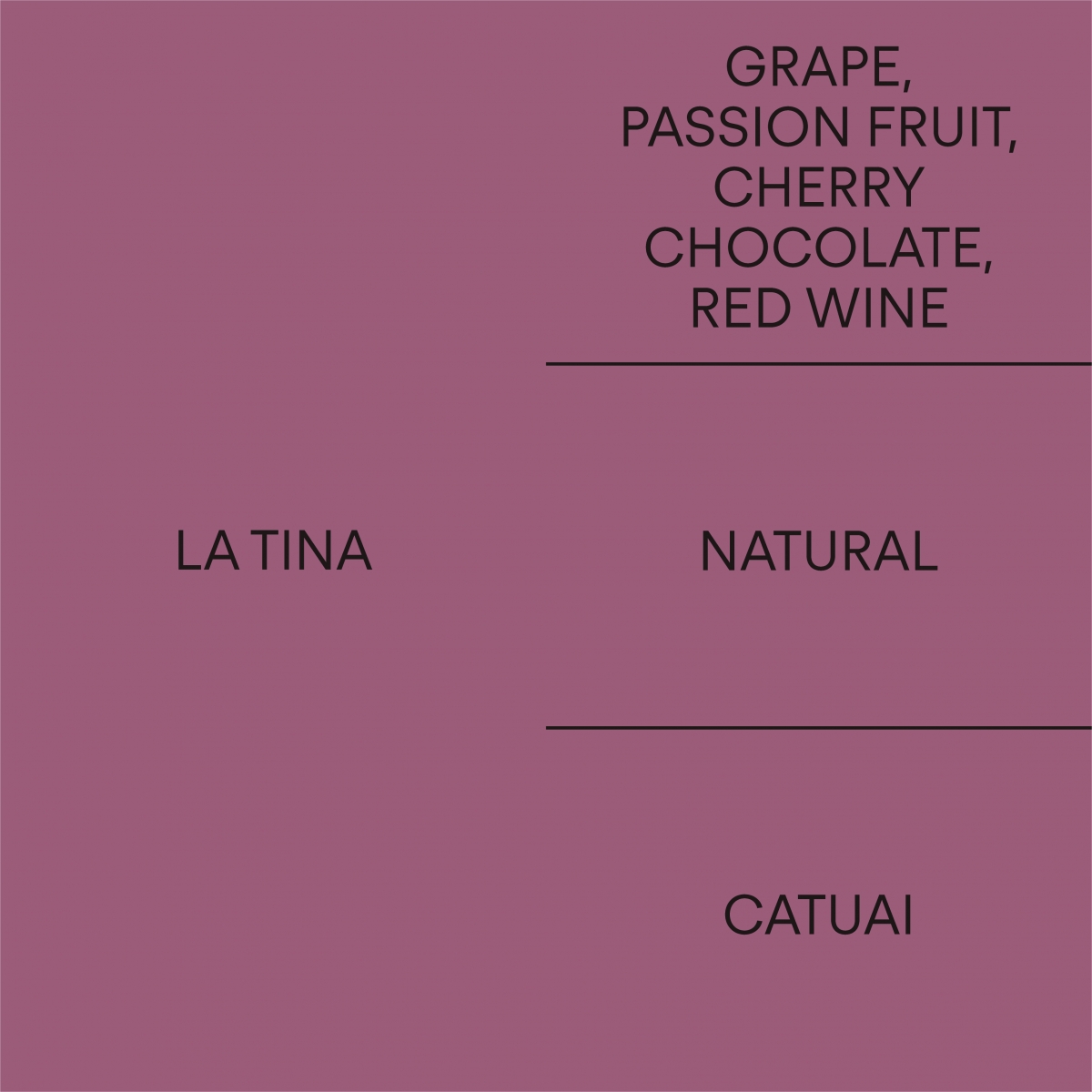 온두라스 라 티나HONDURAS LA TINA