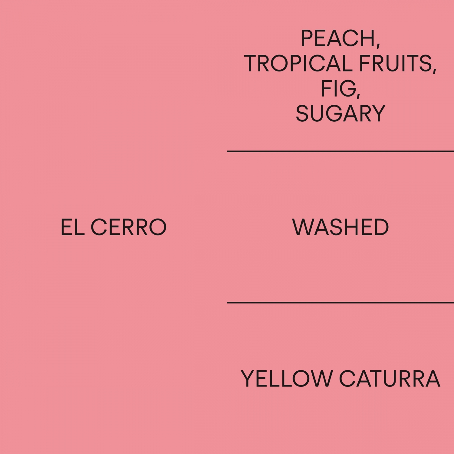 페루 엘 세로 옐로 카투라PERU EL CERRO YELLOW CATURRA