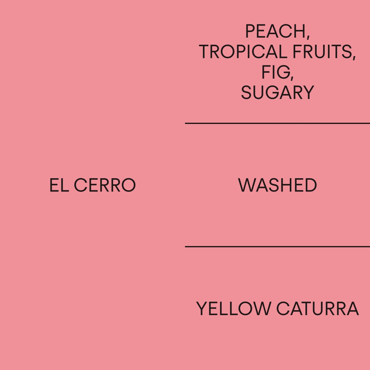 페루 엘 세로 옐로 카투라PERU EL CERRO YELLOW CATURRA