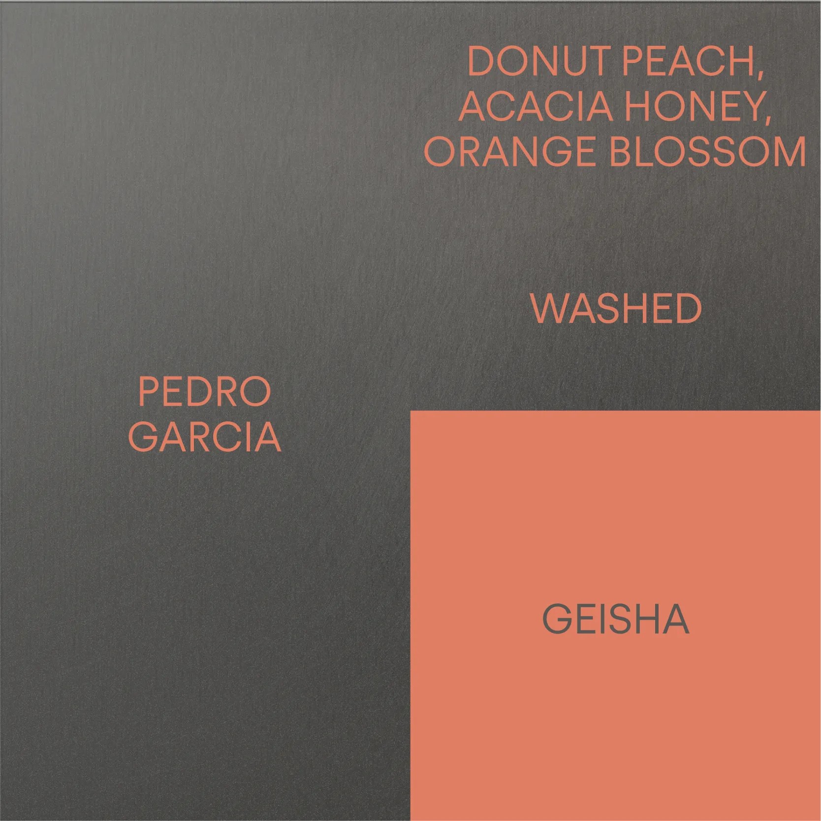 페루 페드로 가르시아 게이샤PERU PEDRO GARCIA GEISHA