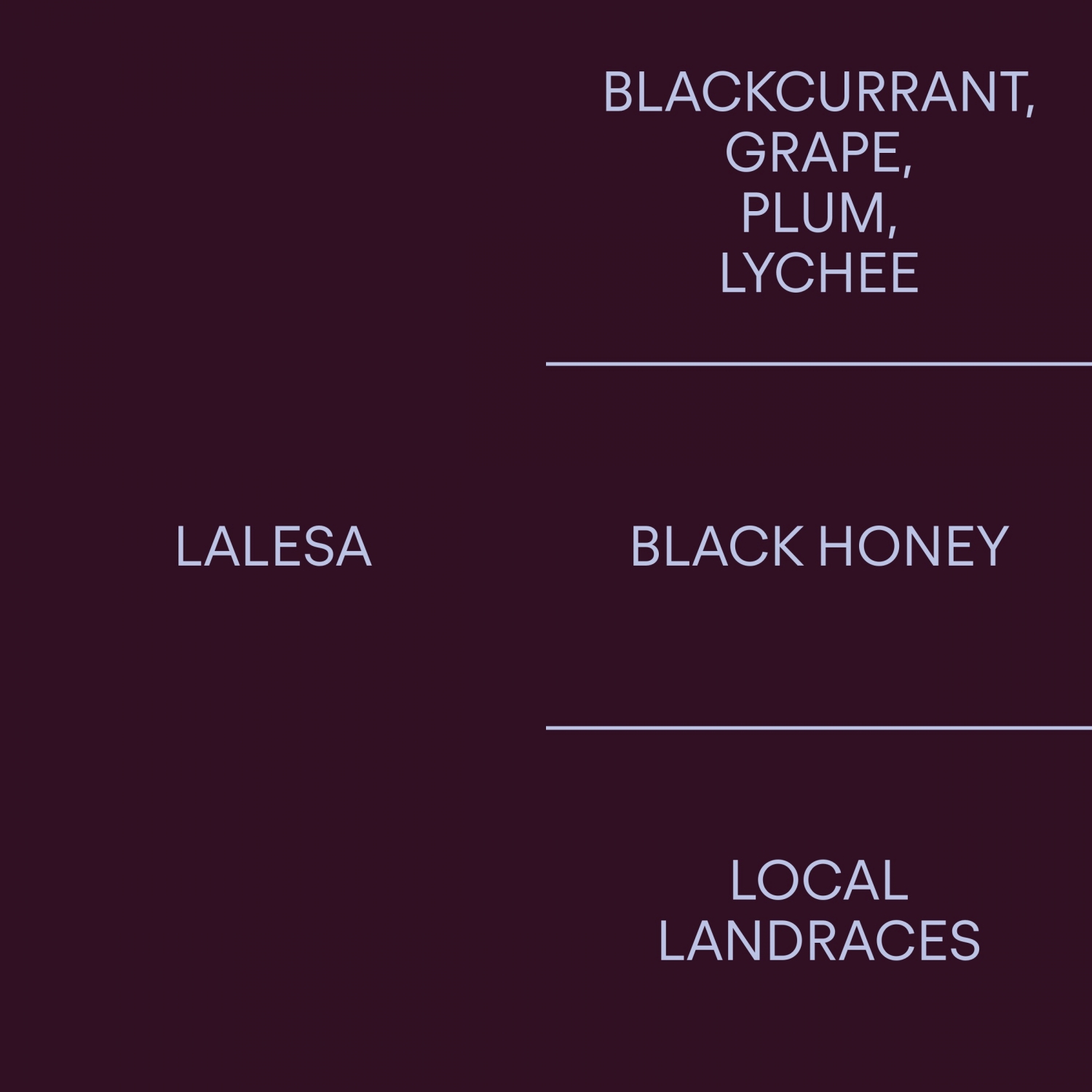 에티오피아 라레사 블랙 허니ETHIOPIA LALESA BLACK HONEY