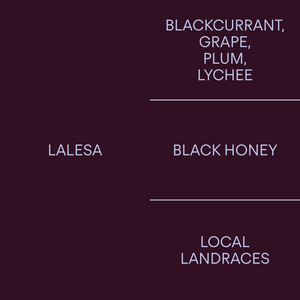 에티오피아 라레사 블랙 허니ETHIOPIA LALESA BLACK HONEY